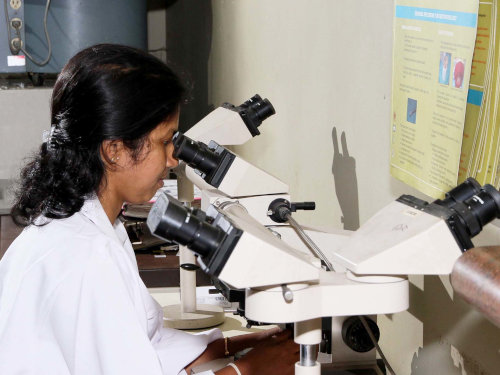 Histopathology Unit 2